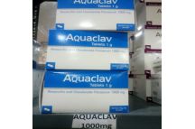 Aquaclav Amoxicillin & Clav. Tab., 1g (x14)