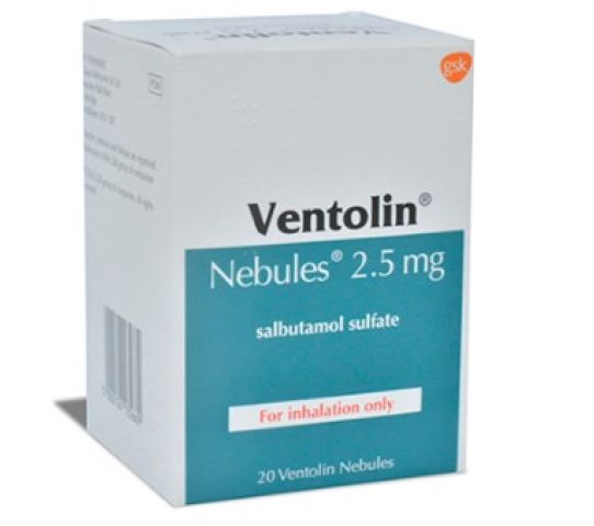 Ventolin 2.5 Mg