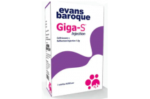 Evans Baroque Giga-S Ceftriaxone + Sulbactam Inj.1.5g IM/IV, (x1 vial)