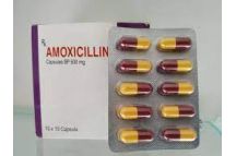 Ely Elymox Amoxicillin 500mg capsules(Priced per capsule)