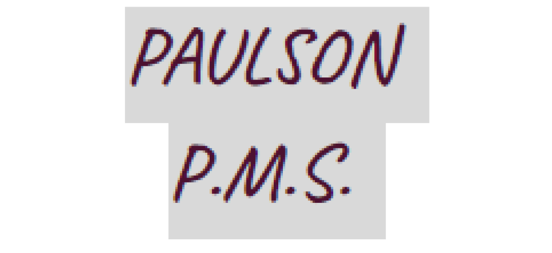 Pms Amoxicillin 500mg